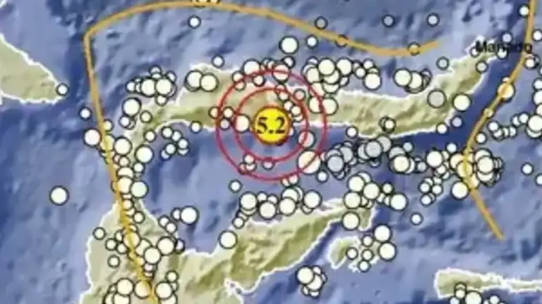(BMKG Terkini) Gempa M 5,2 Guncang Pohuwato Gorontalo Hari Ini