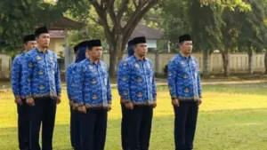 Panduan Cara Cek NIP PPPK Paruh Waktu di MyASN BKN Pasca UU ASN Terbaru
